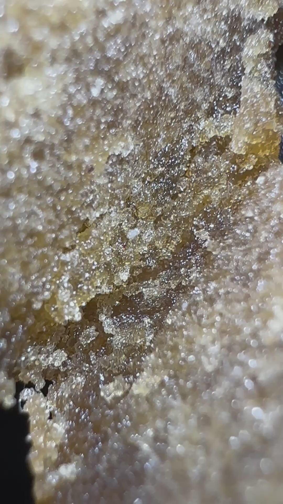 STATIC MATURE VID