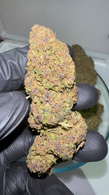 > FORBIDDEN FRUIT <
