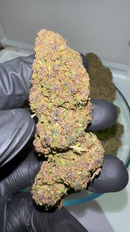 > FORBIDDEN FRUIT <