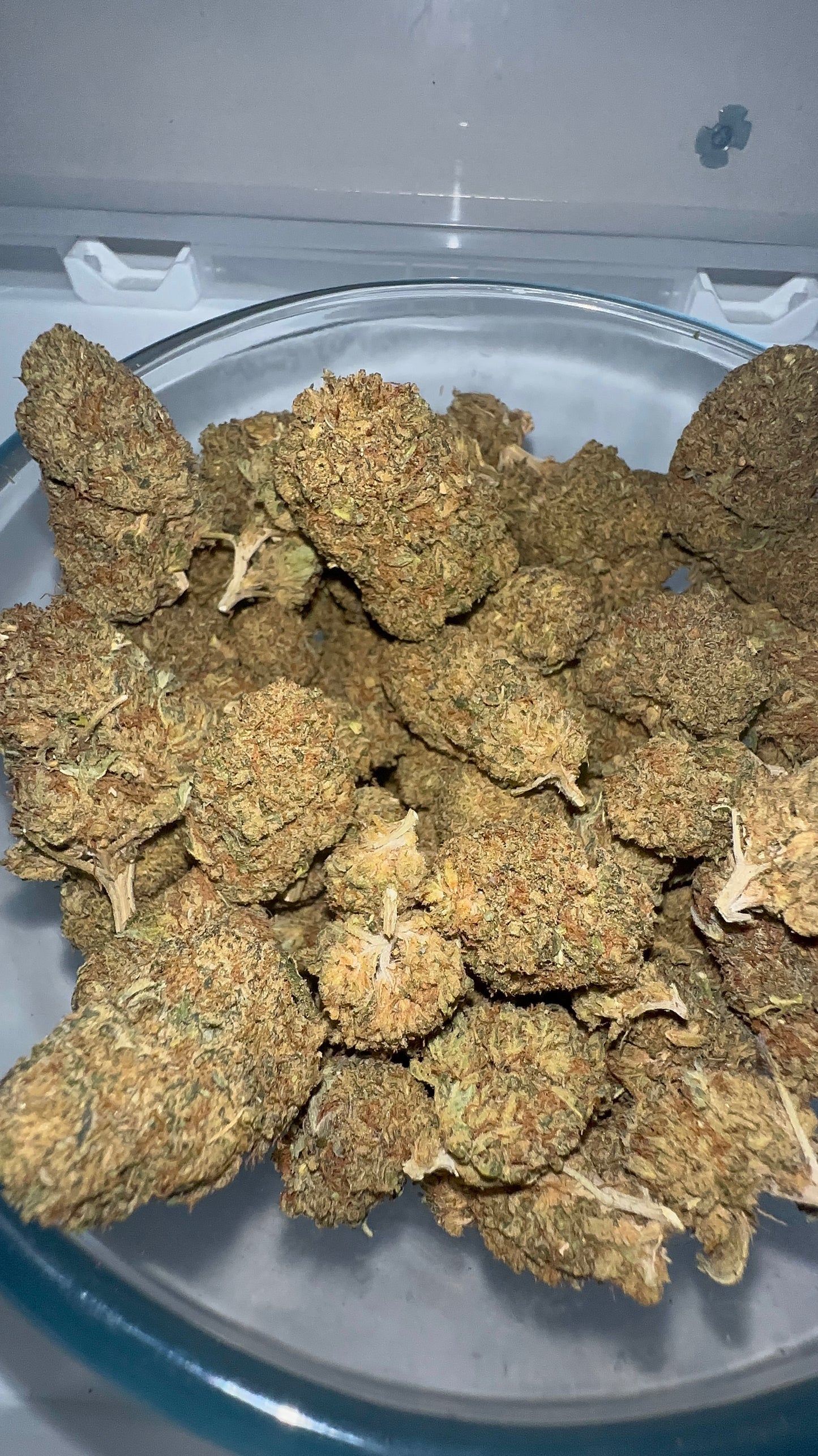 > GREEN-CRACK <