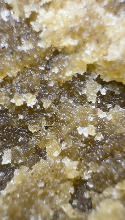 > PIATELLA <