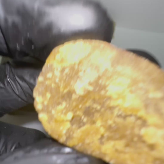 PIATELLA VID