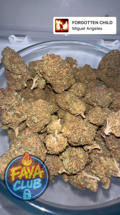 > GREEN-CRACK <