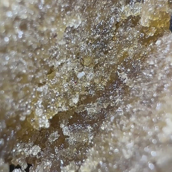 STATIC MATURE VID