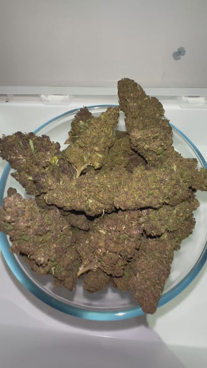 > FORBIDDEN FRUIT <